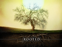Deeply Rooted In Jesus Christ