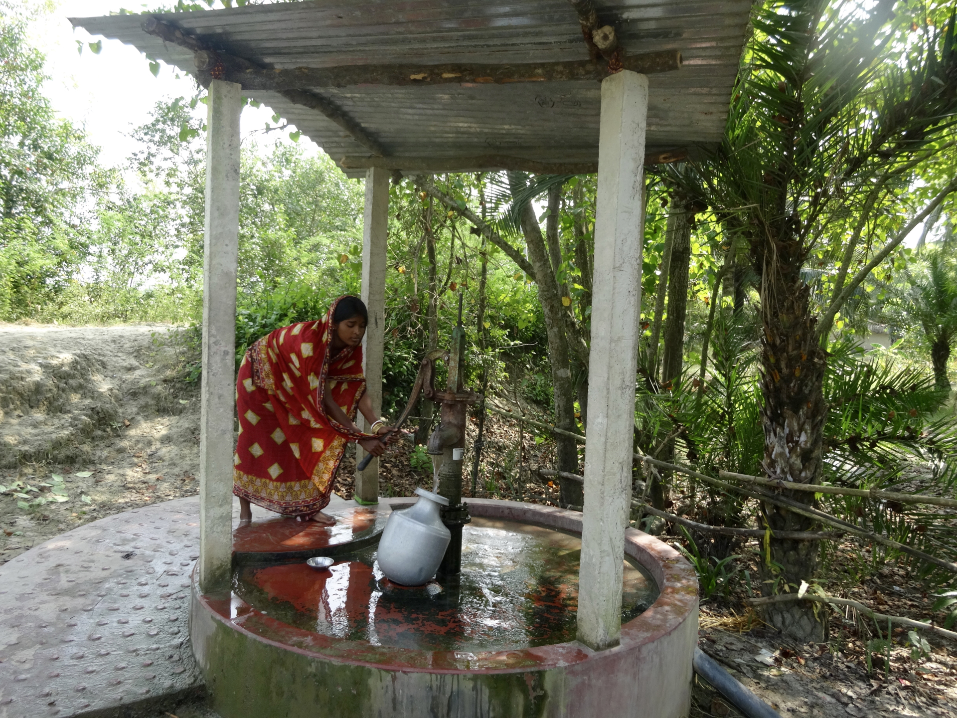 Baradapur 4