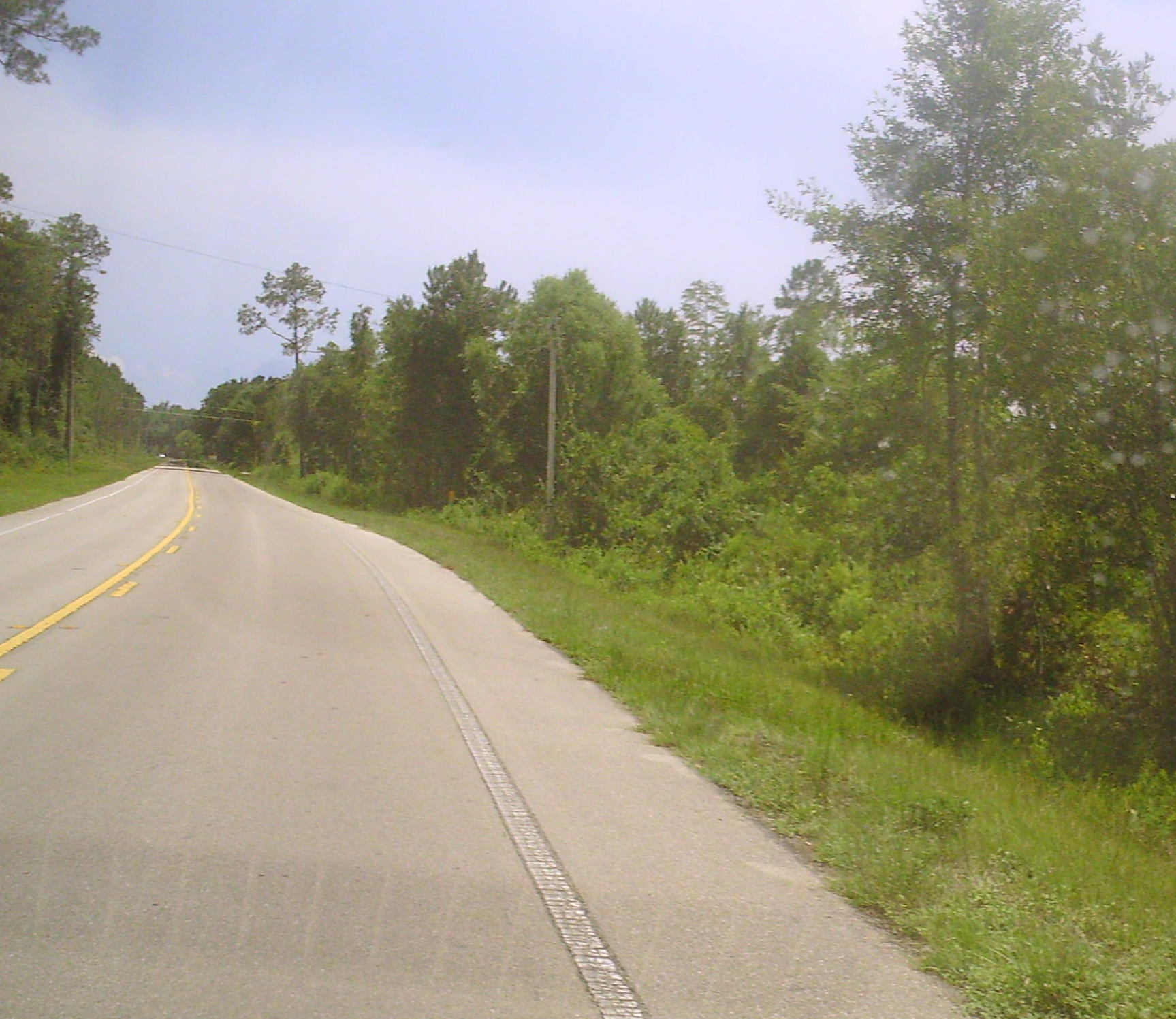 The above photo was taken while traveling south on Co. Rd. 257 just before the I-10 interchange. The Coger Woods are located to the right side of the road.