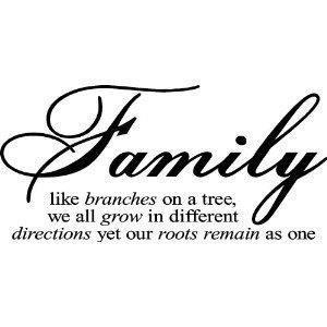 Our roots are from Pommerania, Prussia....And like a tree....the branches have spread throughout Europe, Canada, USA,Brazil, Tonga,Samoa, New Zealand & Australia. It's amazing how our family has spread around the world!!