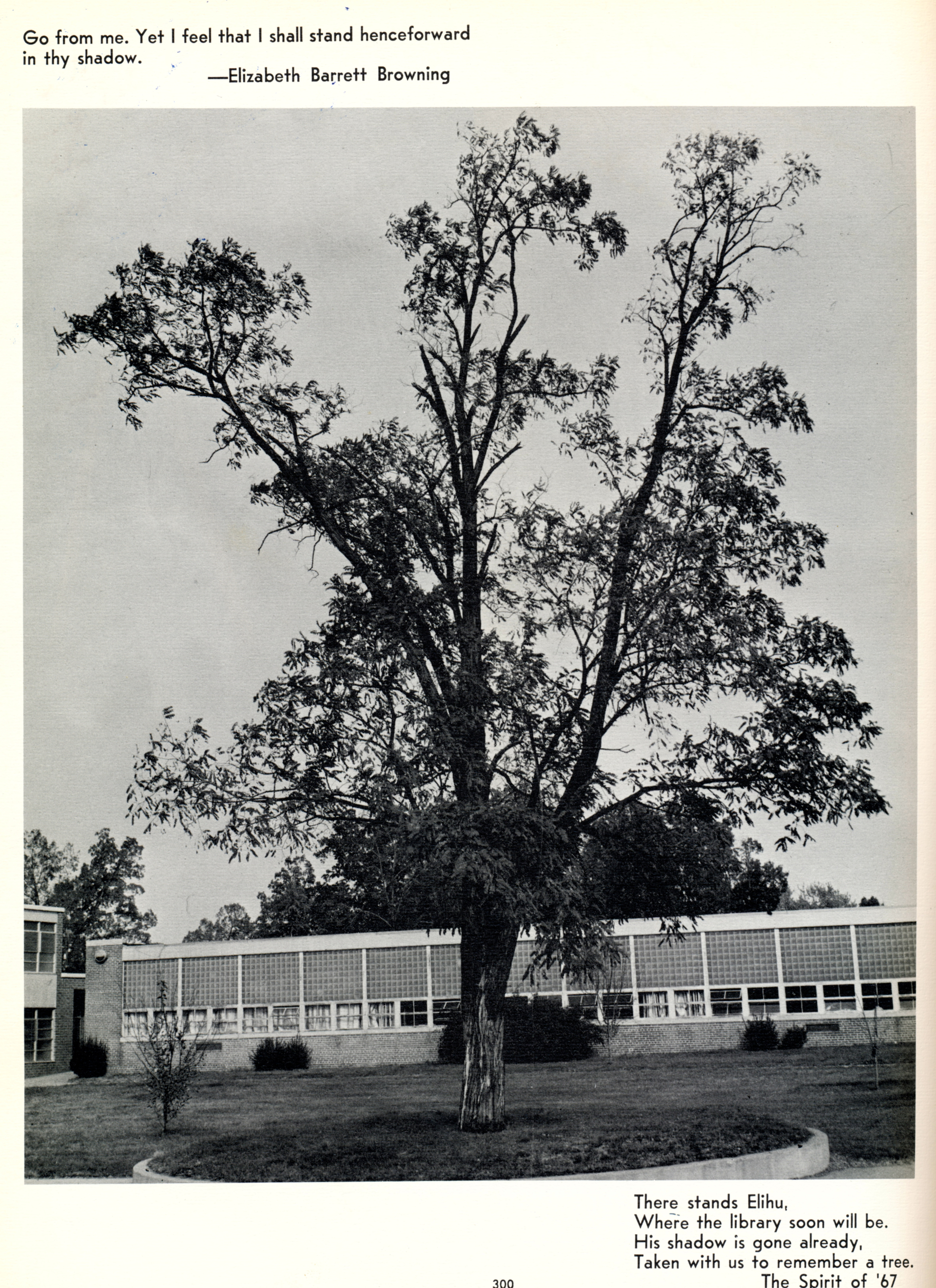 CLICK ON PHOTO TO ENLARGE