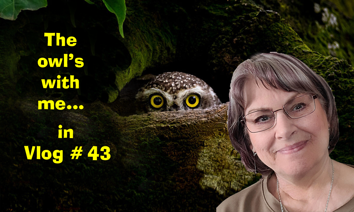 Trump is leading us away from being under the thumb of the British Empire System since 1913.