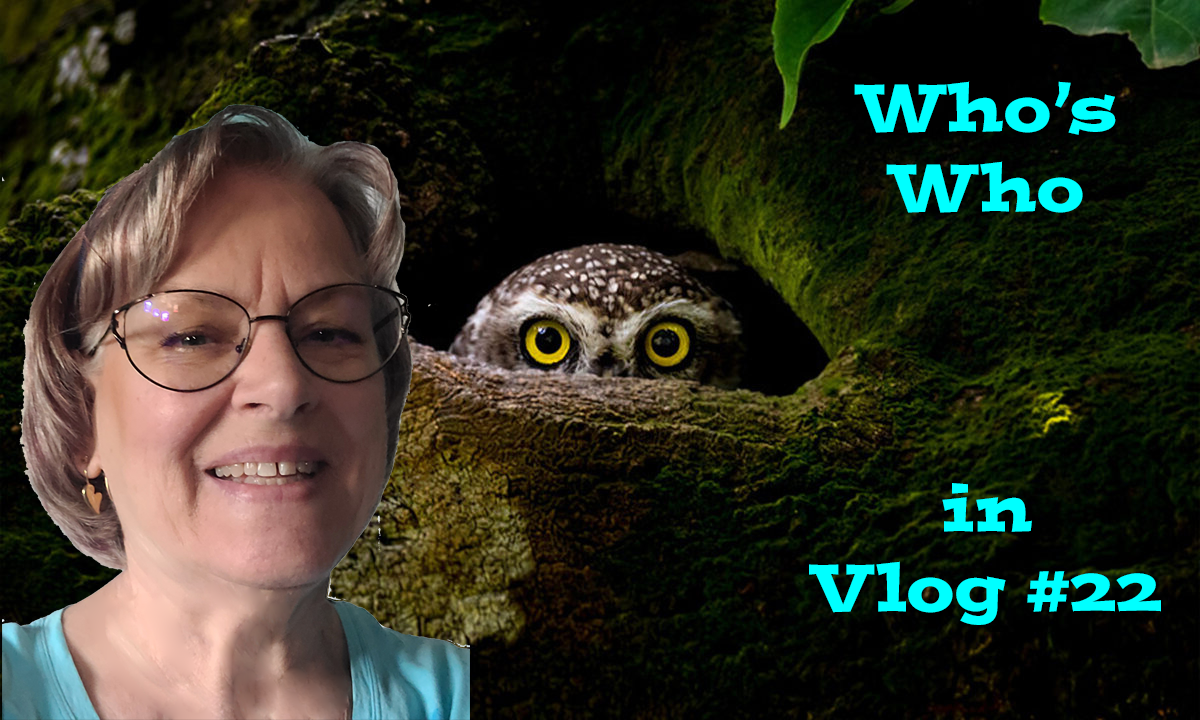 Vlog #22, Muslim socialistic Islamic threatens America