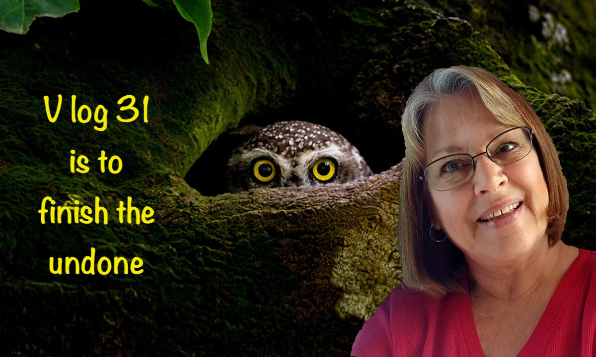 Vlog #31