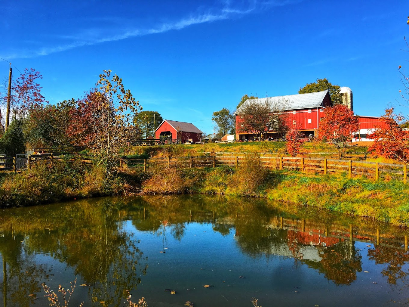 Rocklands Farm Winery