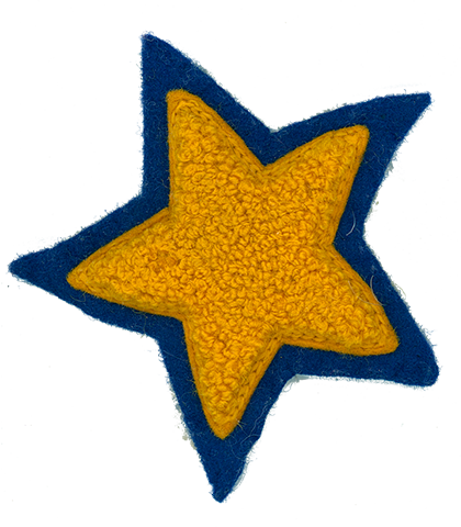 CHERYL NIEBUR'S CAPTAIN'S STAR
