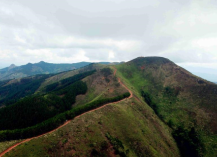 Road to "Charlie" Battle Monument