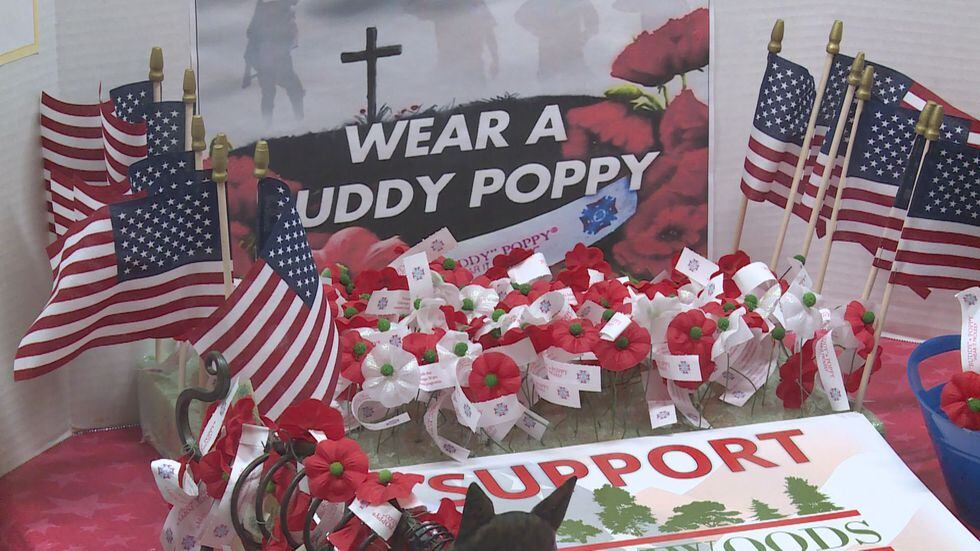 STORY OF THE BUDDY POPPY