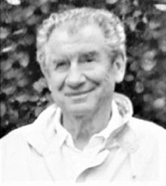 Andy Korol