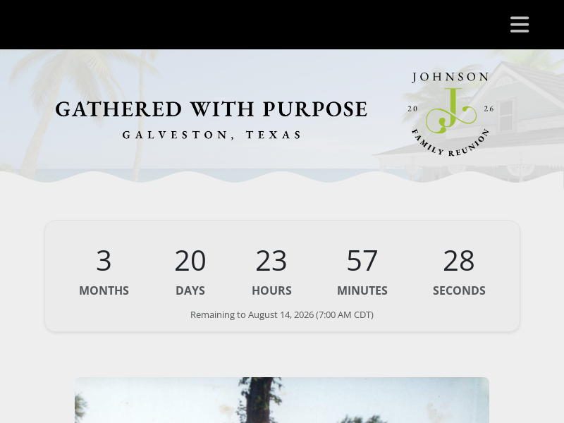 The Johnson Family Reunion